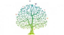 Timeline: Árbol genealógico y principales logros individualizados