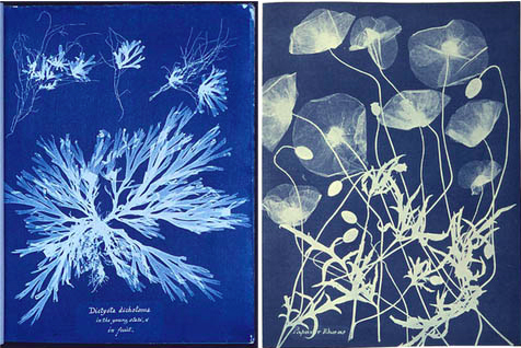 L’EVOLUCIÓ QUÍMICA. COM CAPTURAR IMATGES DE MANERA PERMANENT