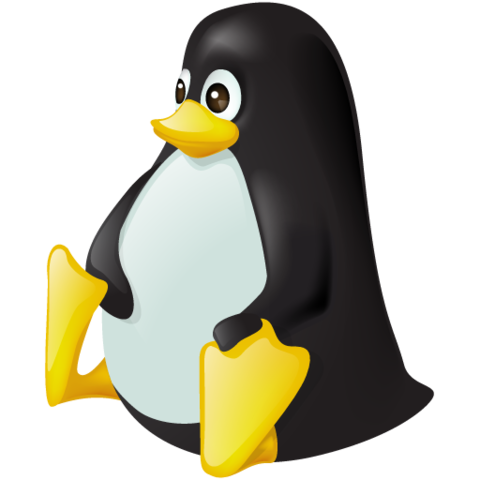LINUX