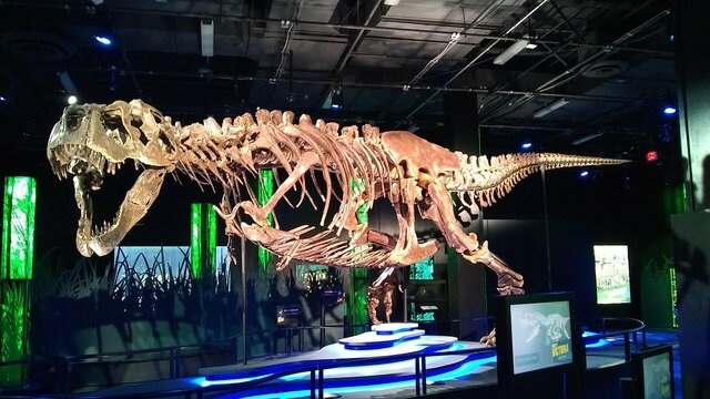 Arizona Science Center opens to the public in Phoenix