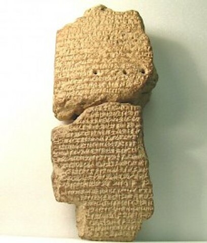 Contacto con Antígono