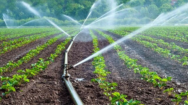 Desarrollo del riego