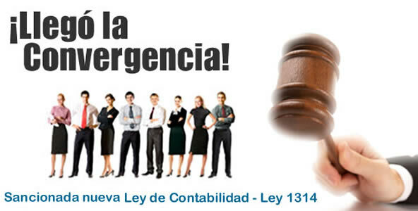 LEY 1314 DE 2009