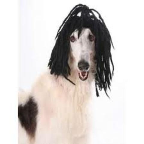 Doggie has the Moves