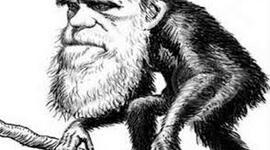 Timeline: Charles Darwin, 1809-1882. Evolution's Revolutionist