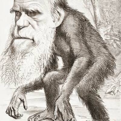 Timeline: Charles Darwin, 12 Feb, 1809 - 19 April, 1882 (aged 73)