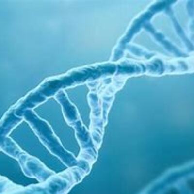 Timeline: Desarrollo histórico del ADN, ARN y epigenética