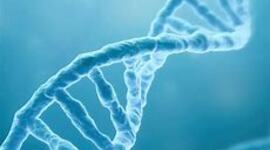 Timeline: Desarrollo histórico del ADN, ARN y epigenética