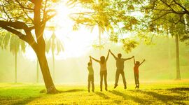 Timeline: Árbol genealógico y principales logros individuales