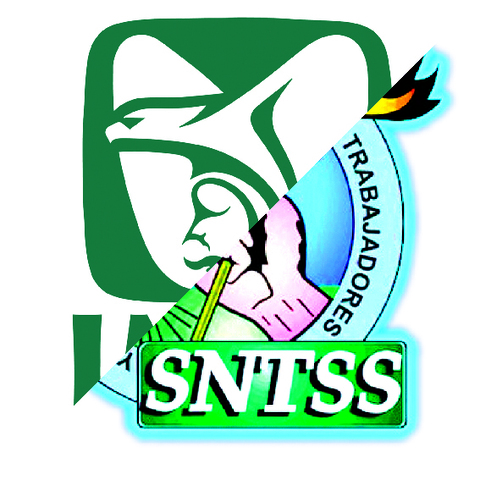 Sindicato Nacional de Trabajadores del Seguro Social