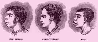 Social Darwinism Theory Gains Popularity