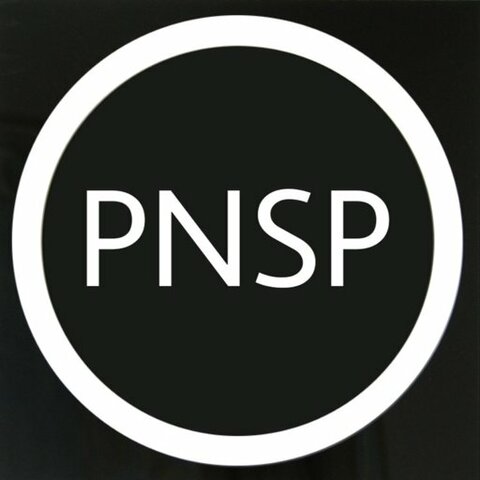 Partido Nacional de Salvación Pública (PNSP)