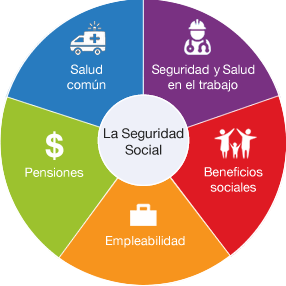 Principios de la Seguridad Social