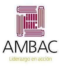 El Noticiario de la AMBAC y Liber: revista de bibliotecología son publicadas con un primer número.