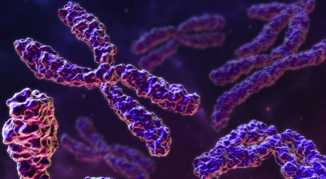 APARICION DE LOS ORGANISMOS