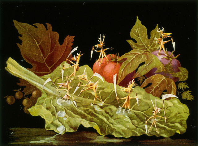 Tifoidea Paratifoidea