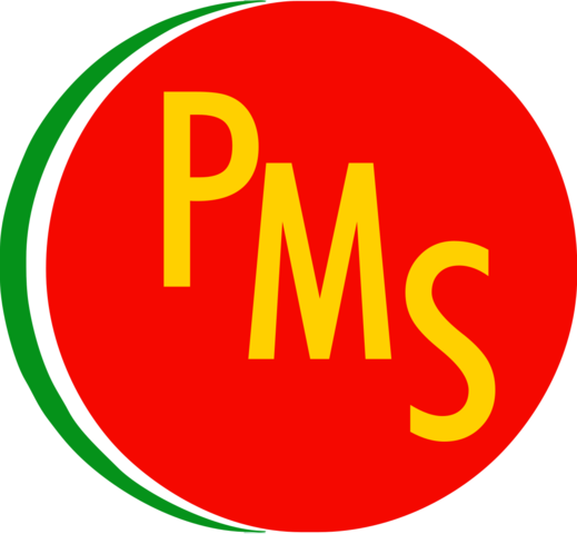 Partido Mexicano Socialista (PMS)