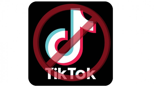 Potential TikTok Ban