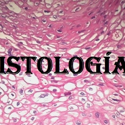 Timeline: LINEA DEL TIEMPO HISTOLOGIA