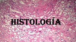 Timeline: LINEA DEL TIEMPO HISTOLOGIA