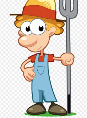 AMPLIACIÓN DE SEGURIDAD SOCIAL- MÉXICO