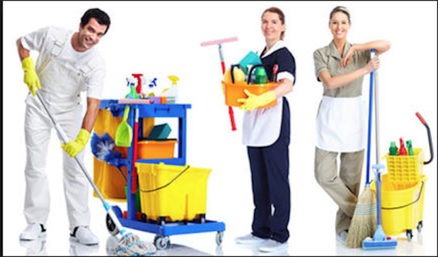 Convenio sobre las trabajadoras y los trabajadores domésticos