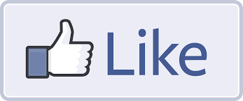 Facebook Introduces "Like" Button
