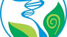 Timeline: Historia de la biología