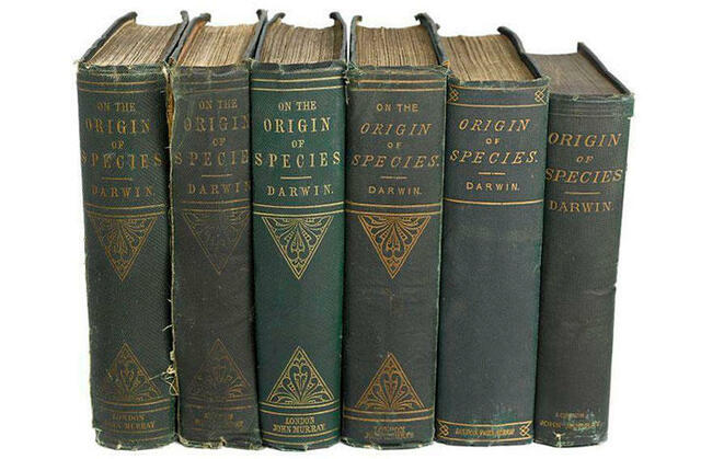 The Studies of Darwin