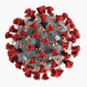 Le premier cas de Covid