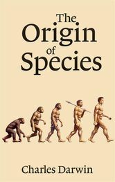 On the Origin of Species; Darwin, Charles, 1809-1882. On The Origin of Species by Means of Natural Selection, or Preservation of Favoured Races in the Struggle for Life. London :John Murray, 1859.
