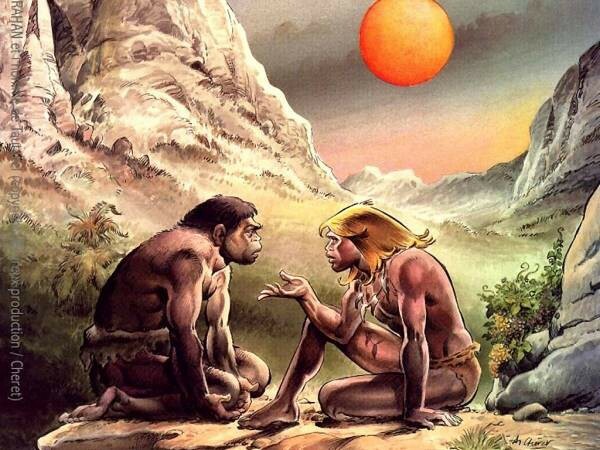 Etapa Signos y Señales