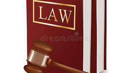 Timeline: Análisis de casos