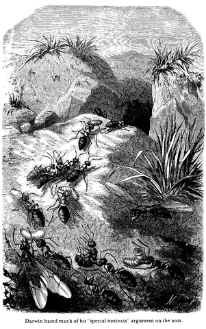 On The Origin of Species