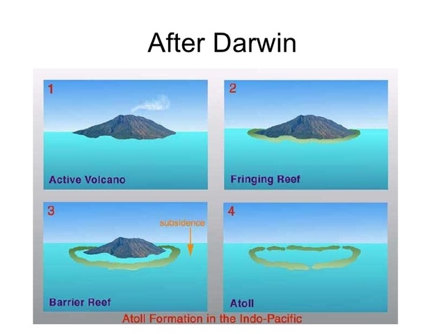 The Structure and Distribution of Coral Reefs