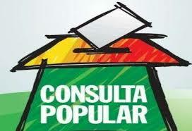 consulta popular
