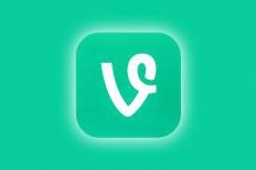 Vine