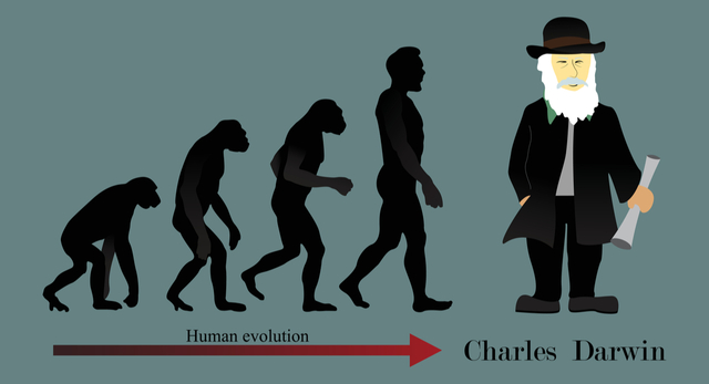 Darwinsim