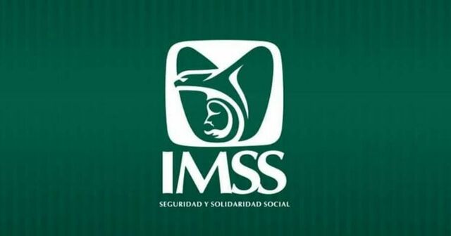 Ley del Seguro Social