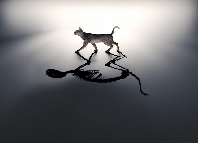 The Copenhagen Interpretation