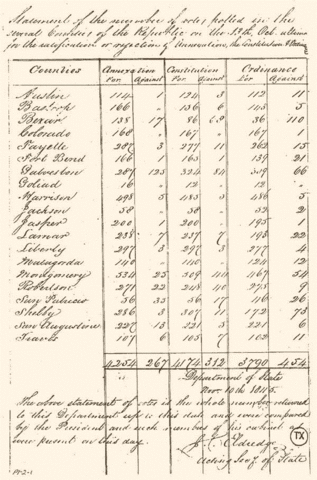 Texans New Constitution