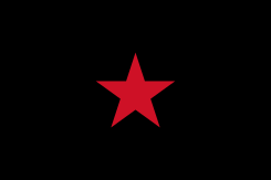 Ejercito Zapatista de Liberación Nacional (EZLN)