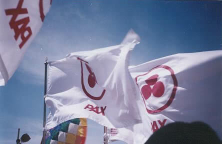 Banderas de la Paz