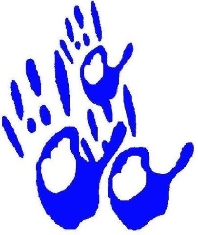 Los Principios Morales