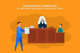 La argumentación en materia penal