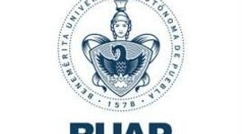 Timeline: Materia: Analísis de casos, actividad I. El proceso y trayectoria que se debe aplicar al analisis de un caso.