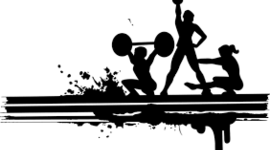 Timeline: BASES CIENTÍFICAS DEL ENTRENAMIENTO DEPORTIVO