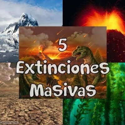 Timeline: Extinciones Masivas