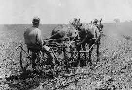 Harry Works the Family Farm