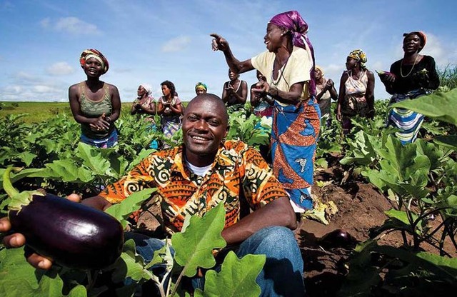 Agricultura en África
